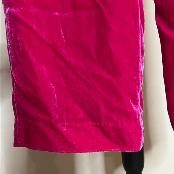 💘💓👛NWT J. Crew Bright Pink Velvet Pants - Picture 6 of 11